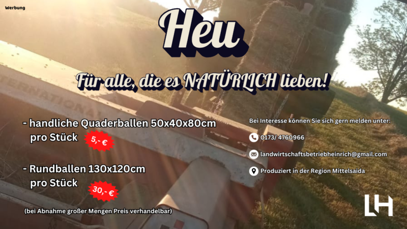 Veranstaltungen (5)